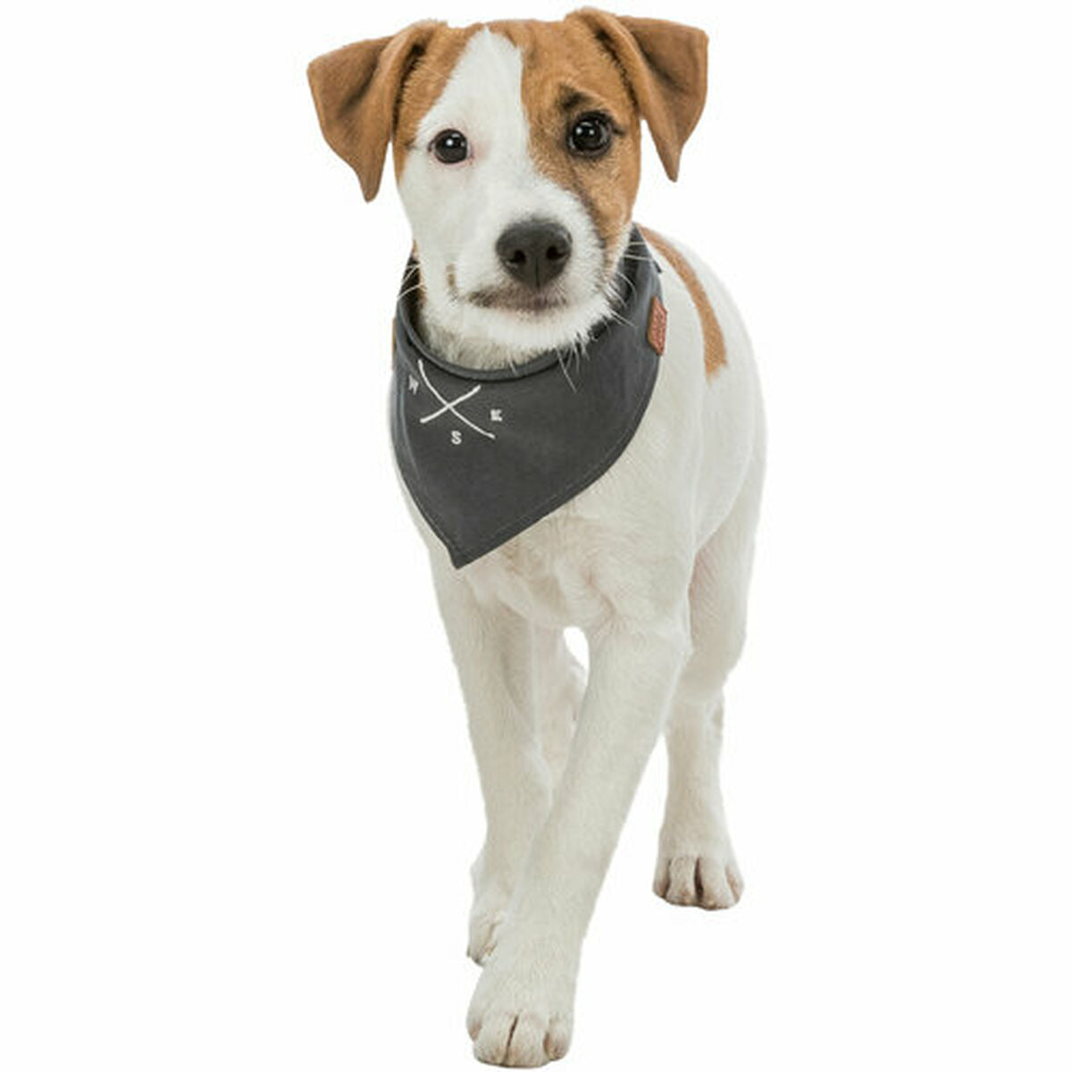 V4HC3D0ADC0C374CC8BECF21A1E05A93DC6R7453694P8