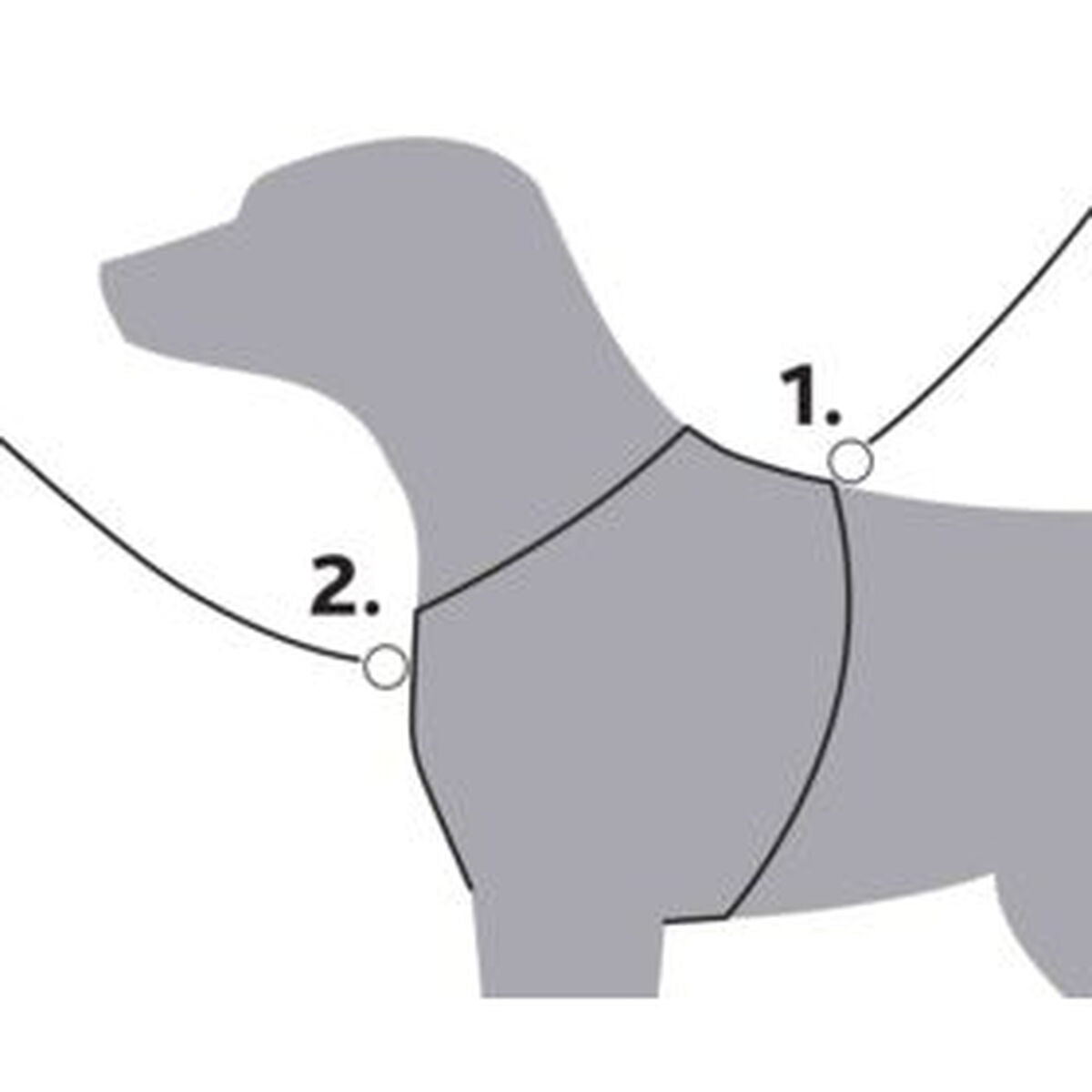 V5H6346365E55BA04289BF339220F5155C6R5329581P6
