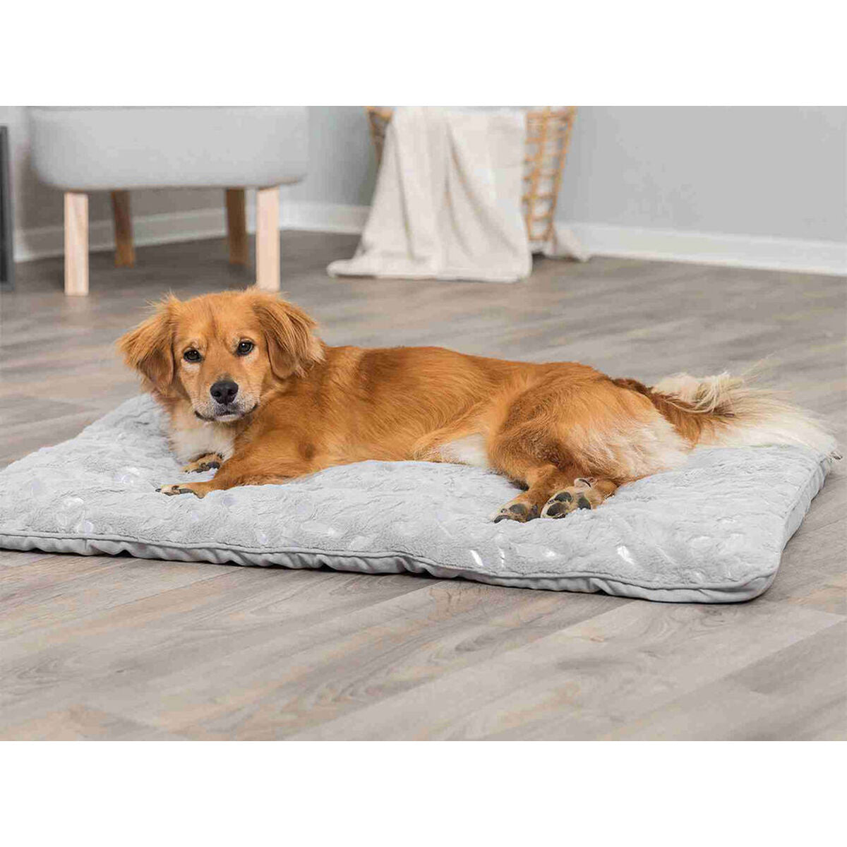 V5H11EAF7985AE2710636003A2B5F2AFDFDR7444787P9