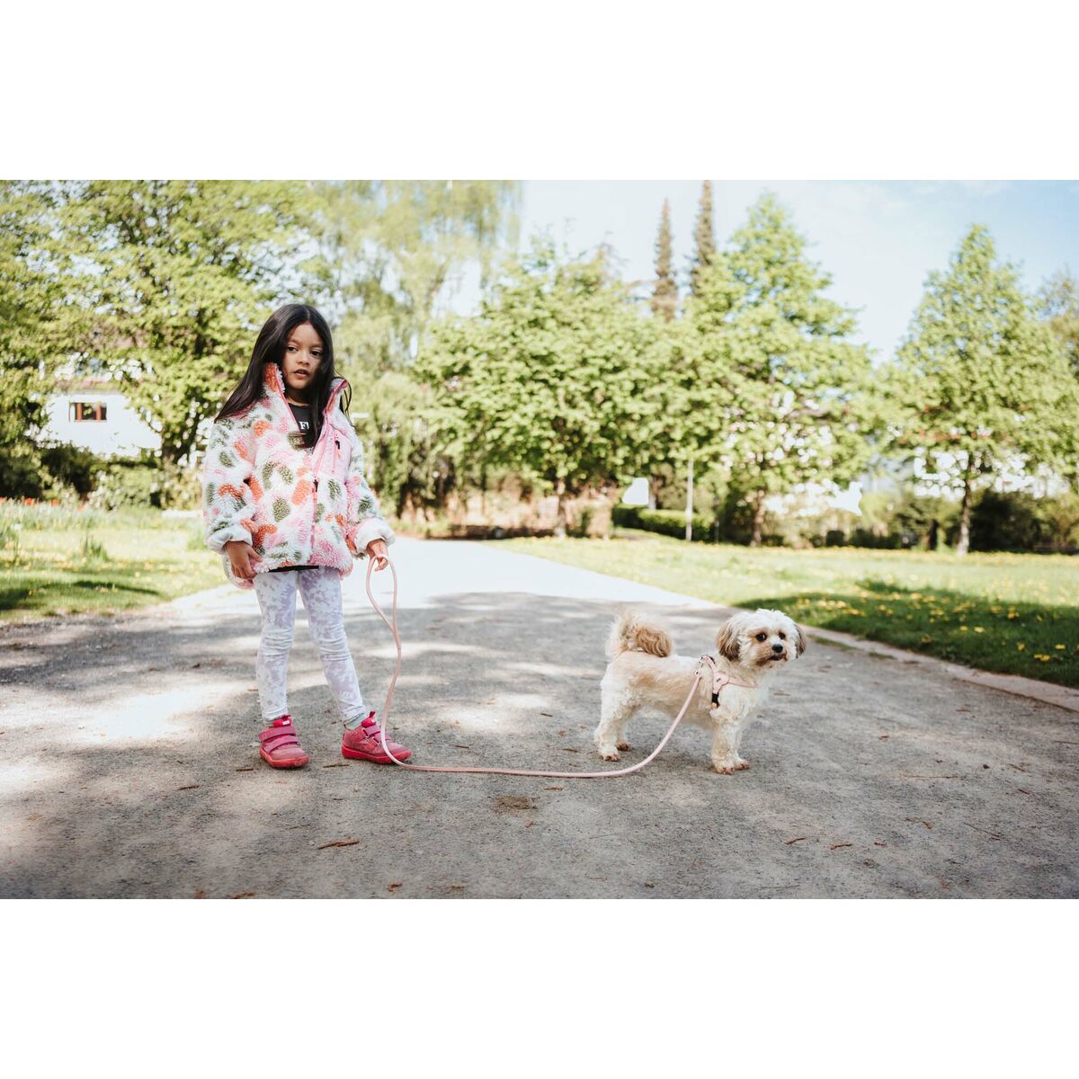 V3H3D2B7CD03C0828D13AA2369711773690R5575597P5