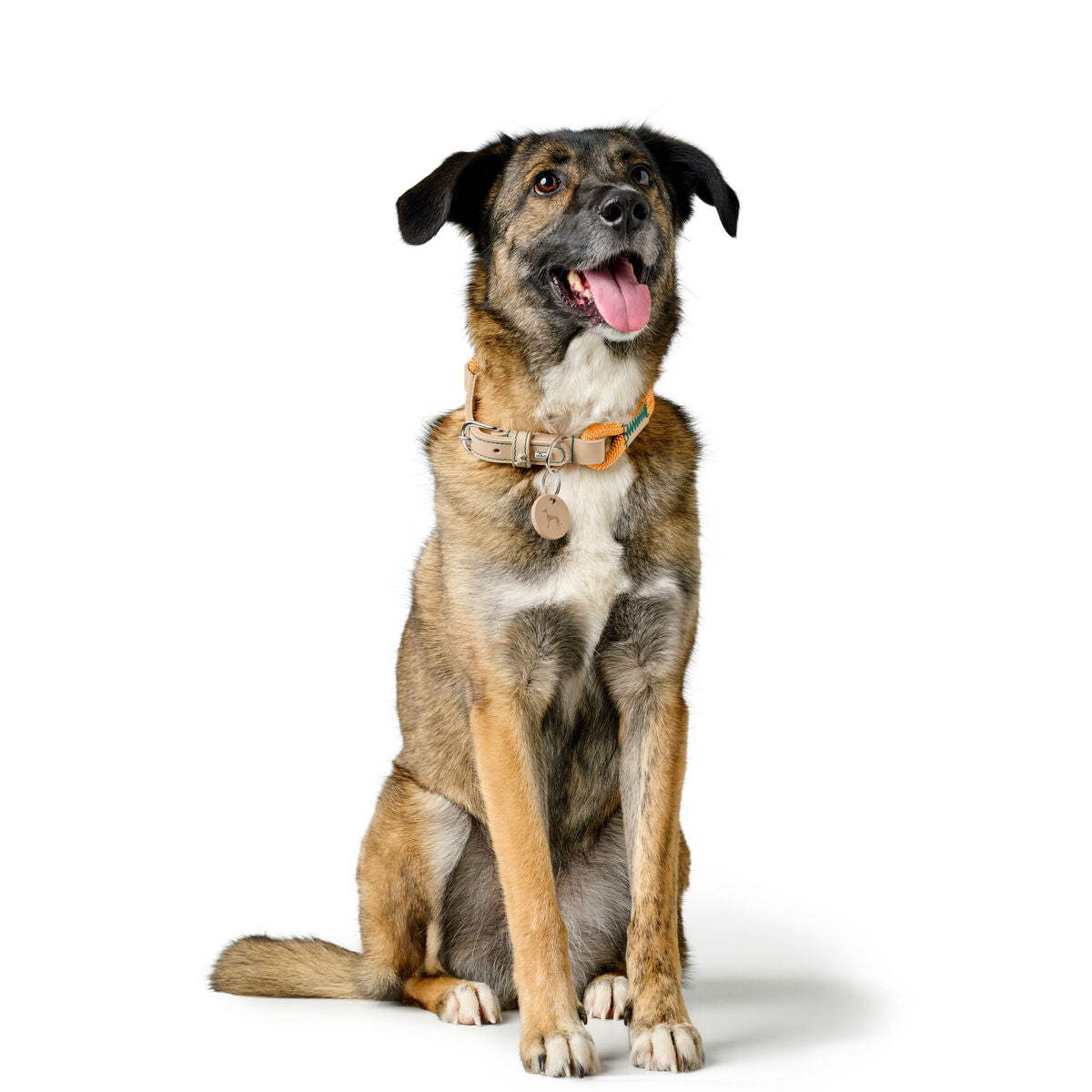 V3H3E76832AF8641BD50BA3667ACD7EAAC5R5575444P3