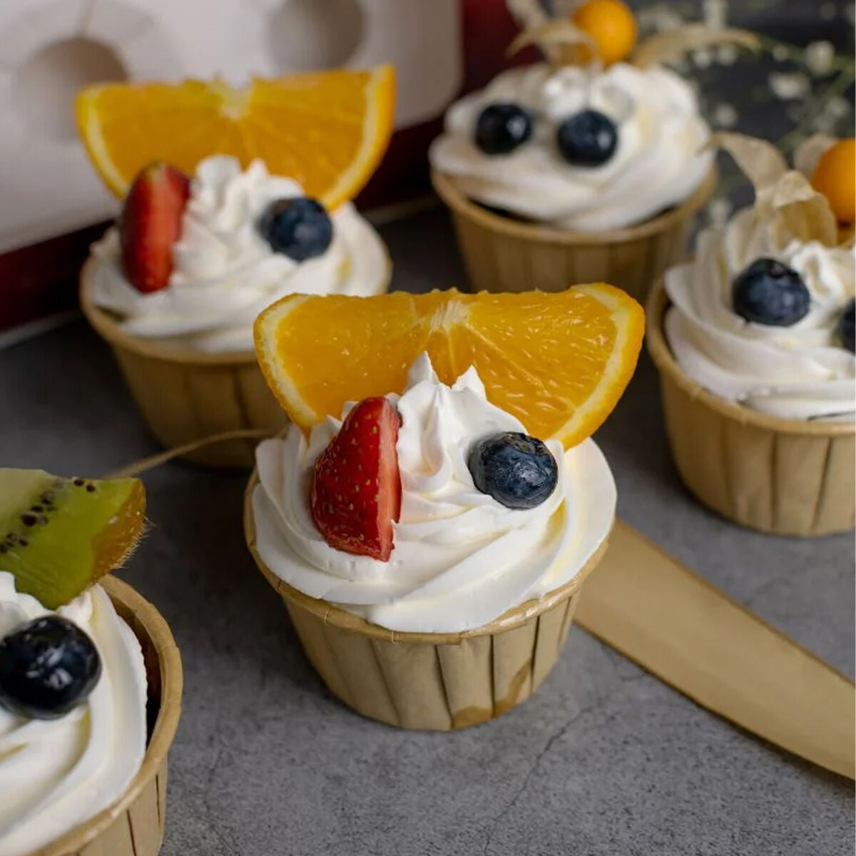 V5H1E0DFF9031EC0A0F1DB6266FCCDD3D6CR5666973P8