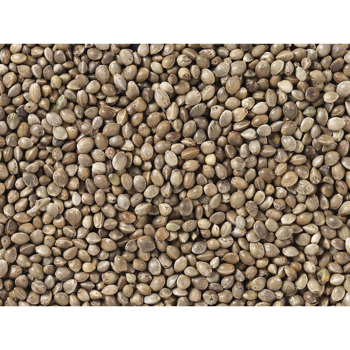 V5H3444AACA27DE0BDF928B67A31FB998A4R7449982P3