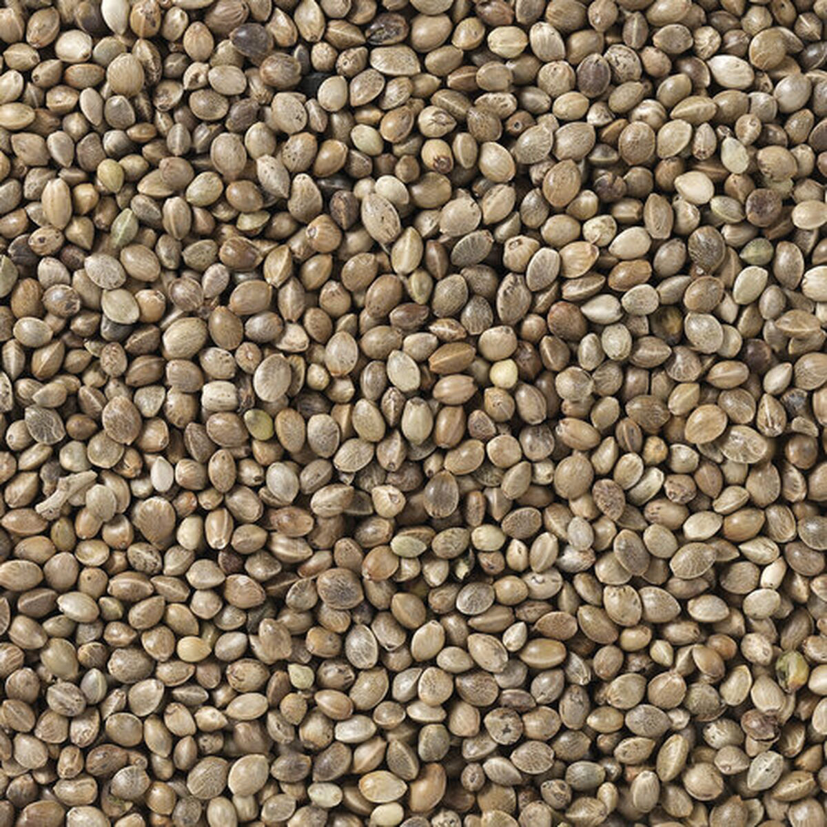 V5H39BCC0A9733A2E4DDC9CCC58BDF7271DR7449983P4