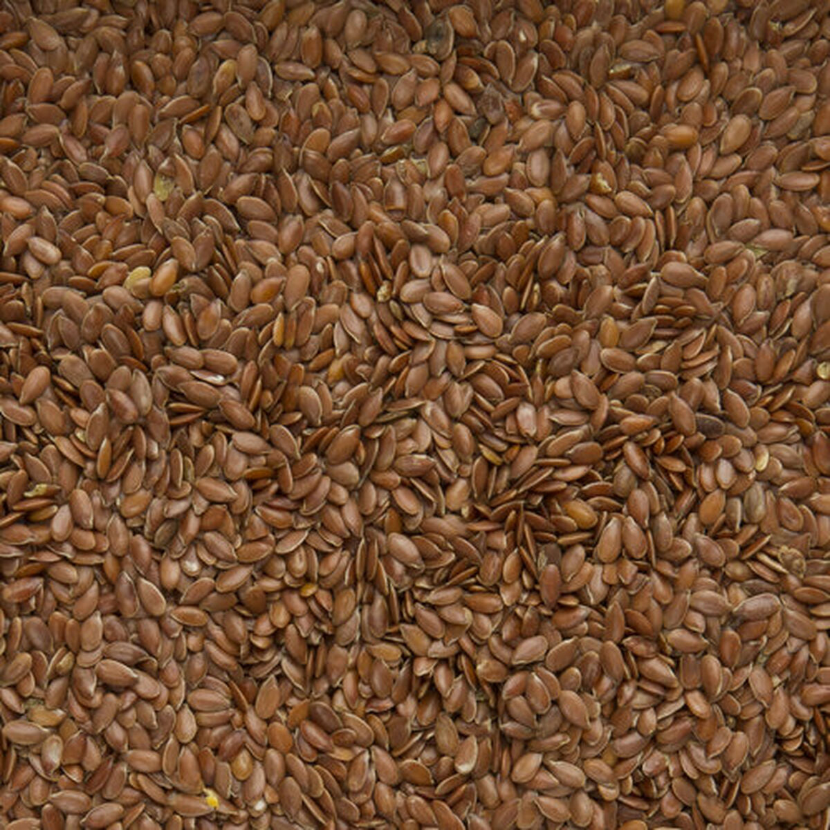 V5H2A83B50CFCD1F60DBD8734FEEB59B28CR7450017P4