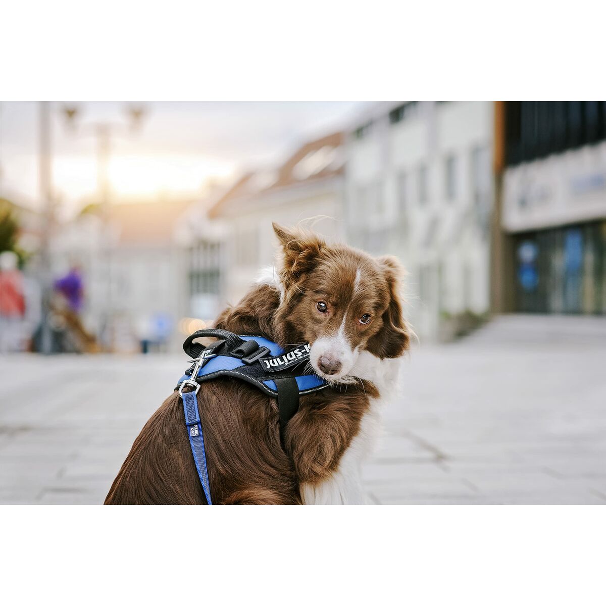 V4H6D7D84E15CFF22721EE96D31EF4F595FR5333072P4