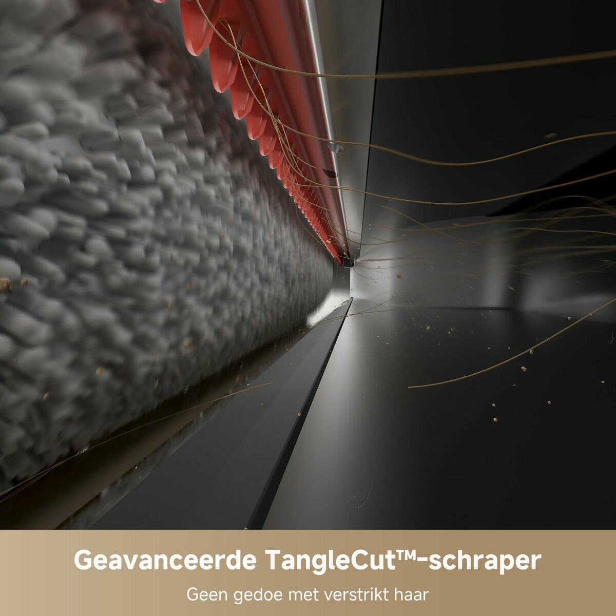 V4HC9BD26A9F2BEDF92396B1F2E36E8CD55R7306738P8