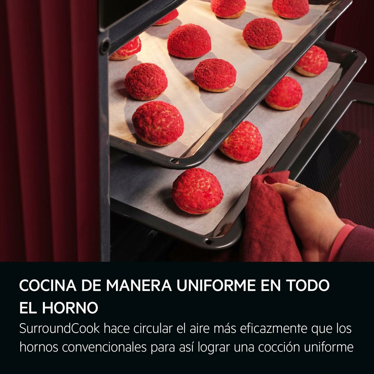 V3H8AF5ED757E554944F966C45DD132E23ER6712794P4