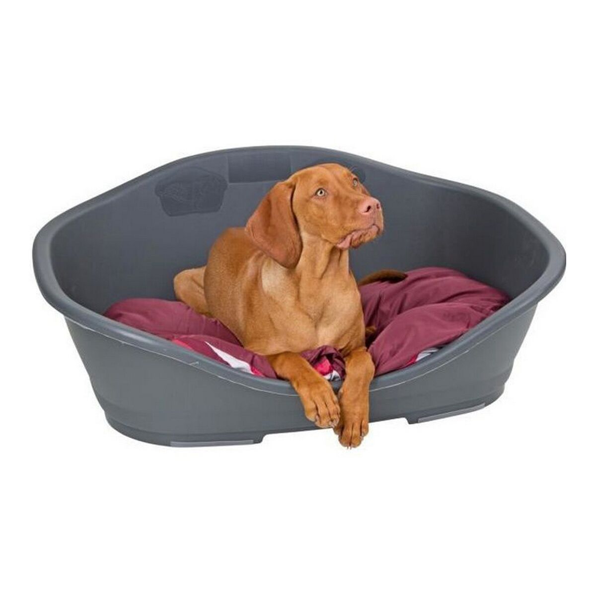 V5HDB0D3EC4F4DE2C9EE252E1CAAEB6E311R7471628P4