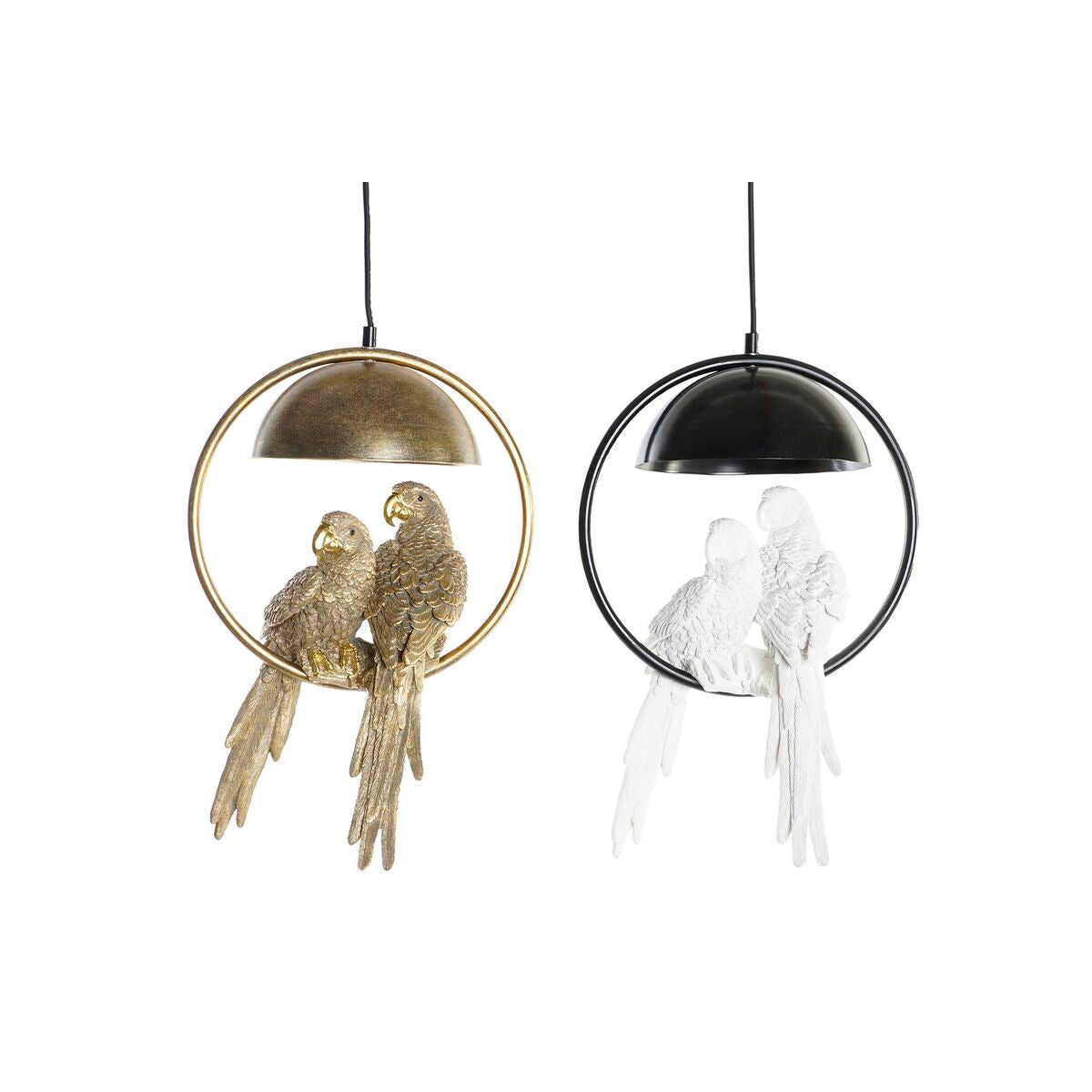 V9H53CF11362034F26D09CA2B9A02A9BDCFR5661375P1