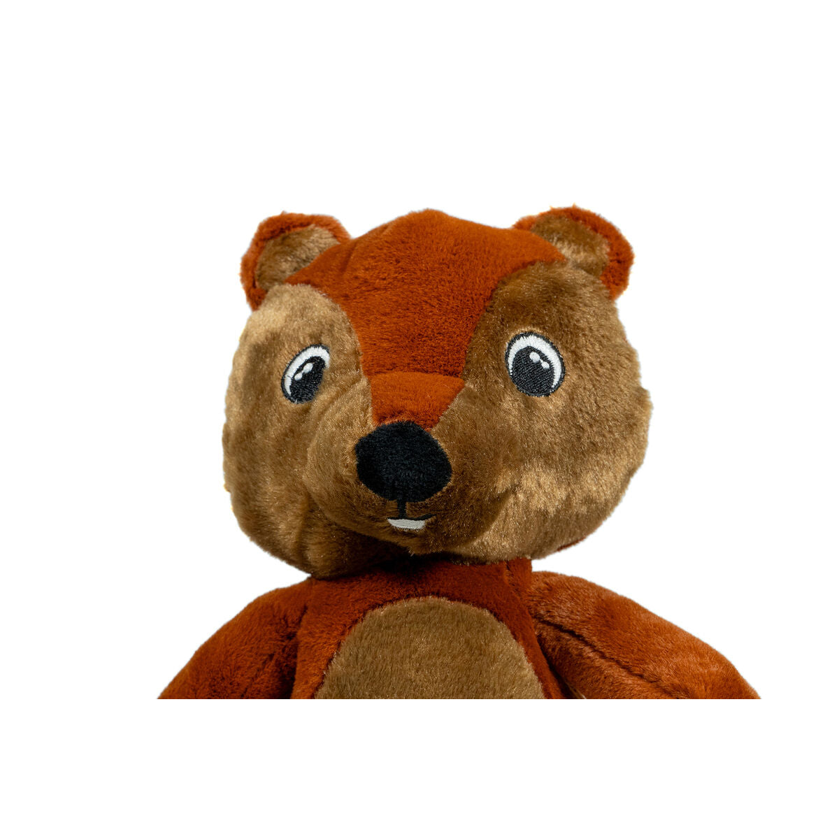 V7H1CC4B2162A8FF537DE055CC1913EF9B7R3710451P7