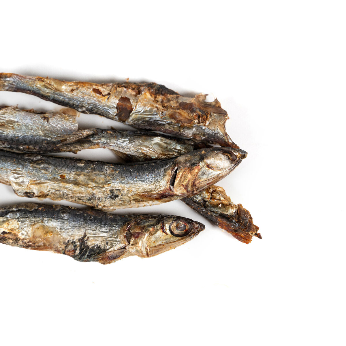 V3H00BD90004CA1ACB8B3E5341372CCF9C5R5293013P5