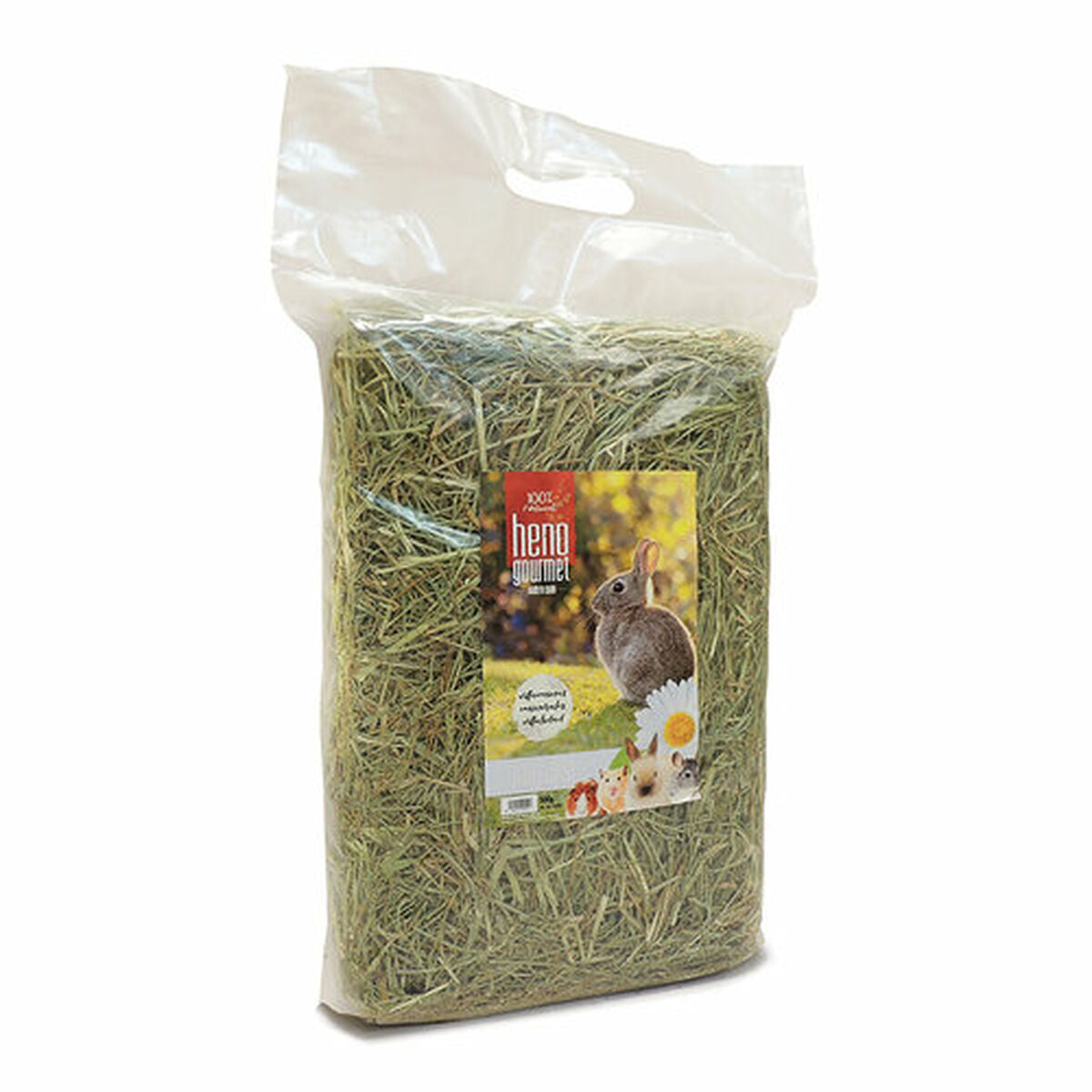 V4H53A6A81E9A4DAD56674DC91D3375F26BR7445422P2