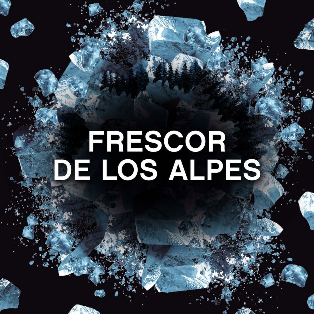 V2H7E1E52C6D6ABE5C4E8952E093636C8BDR6987095P3