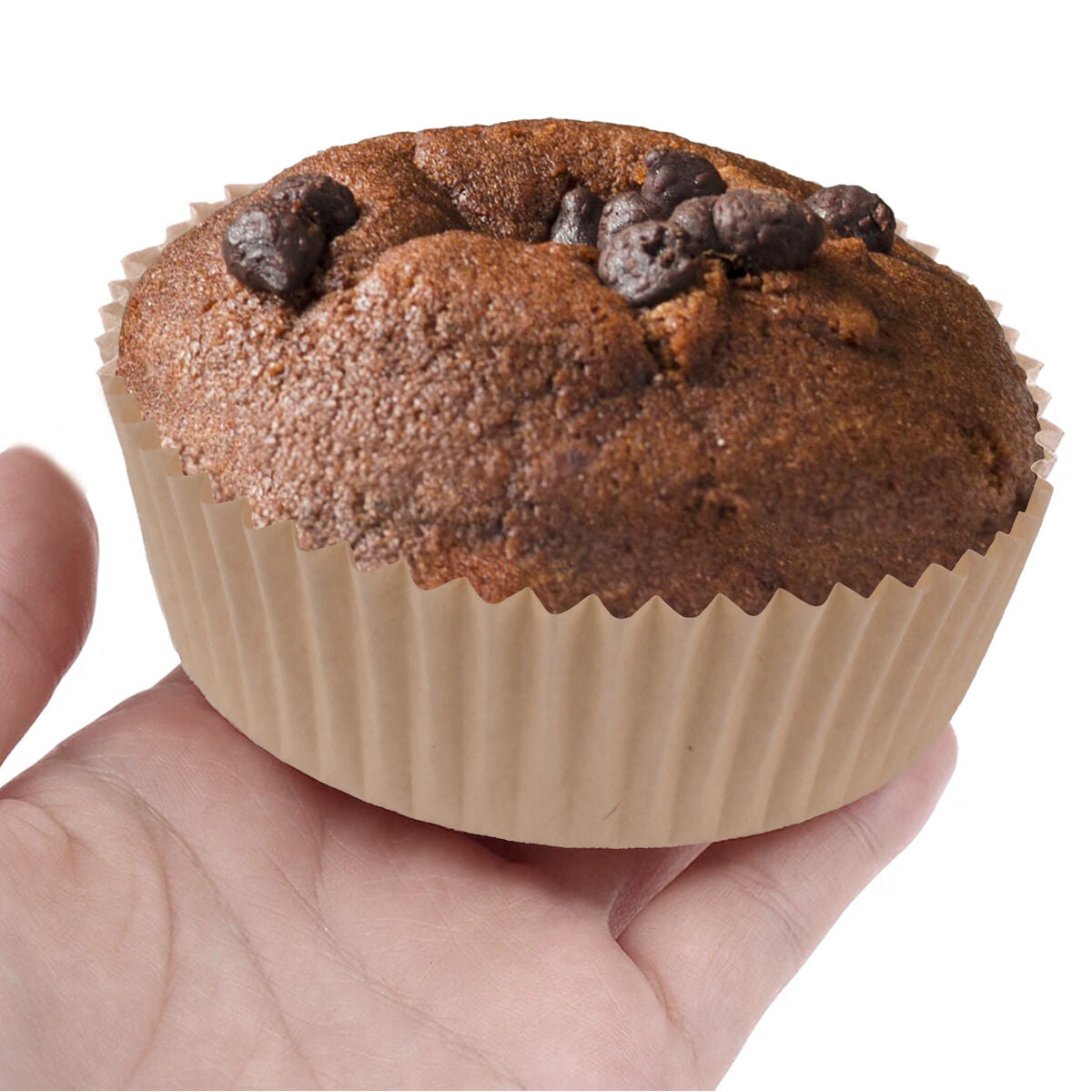 V4H775A6AF0D196E074DE00FA5675DC2CCER6844518P5