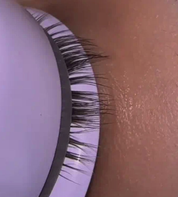 Eyelash Curler